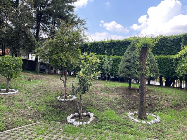place photo 29