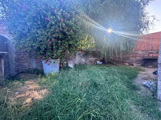 place photo 50