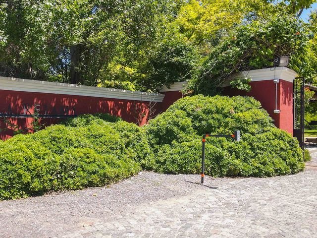 place photo 47