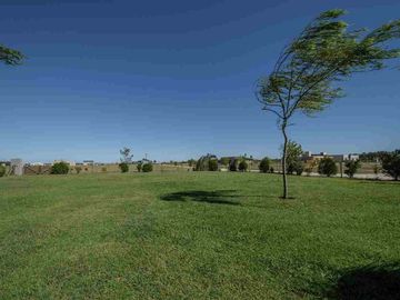 place photo 31