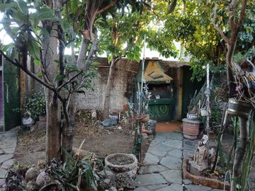 place photo 33