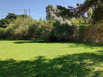 place photo 37