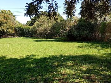 place photo 35