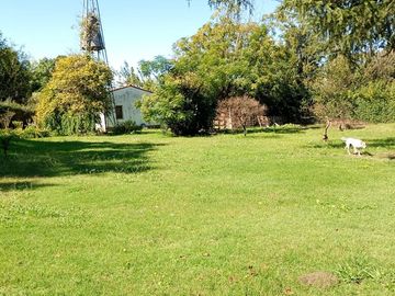place photo 41