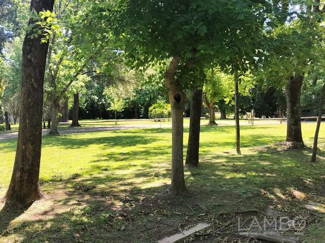 place photo 44