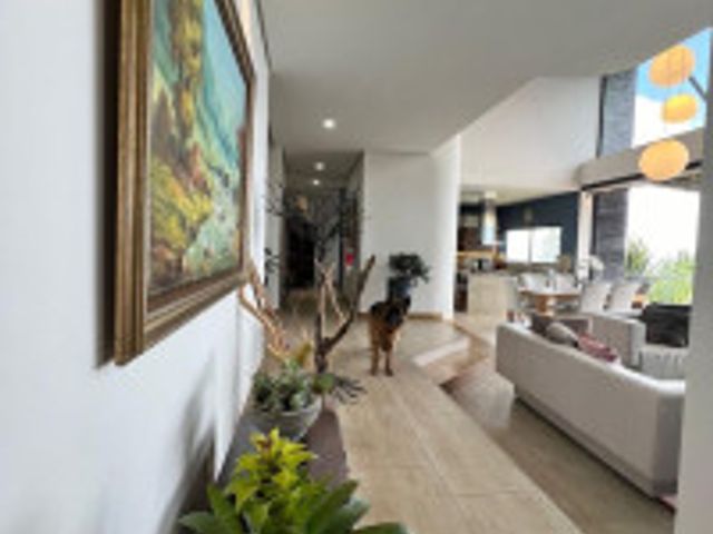 place photo 51