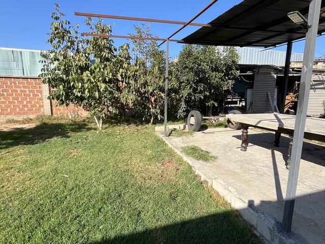 place photo 38