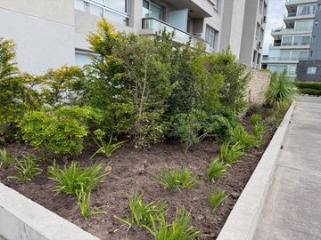 place photo 37