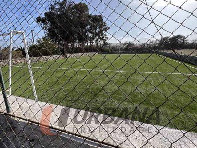 place photo 19