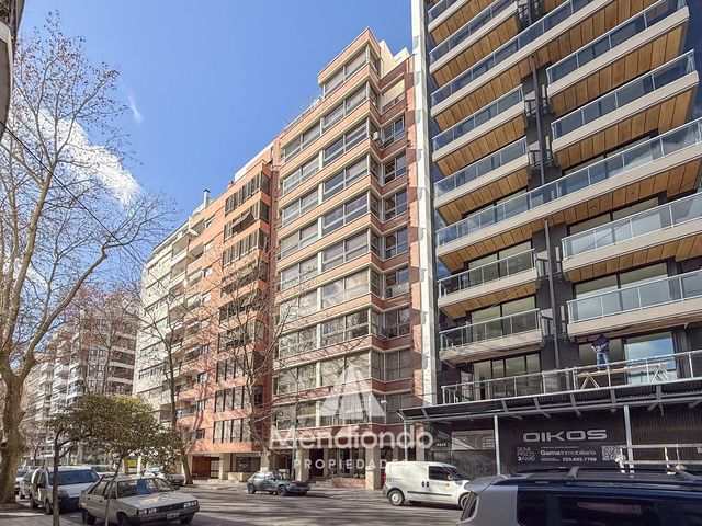 place photo 45