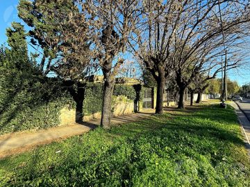 place photo 50