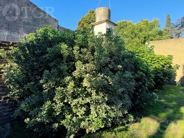place photo 37
