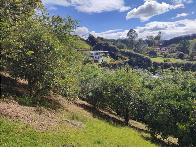 place photo 48