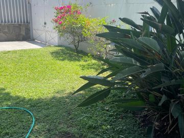 place photo 35