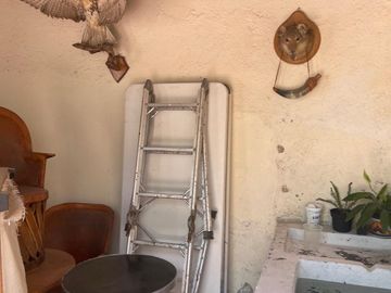 place photo 40