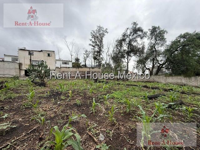 place photo 39