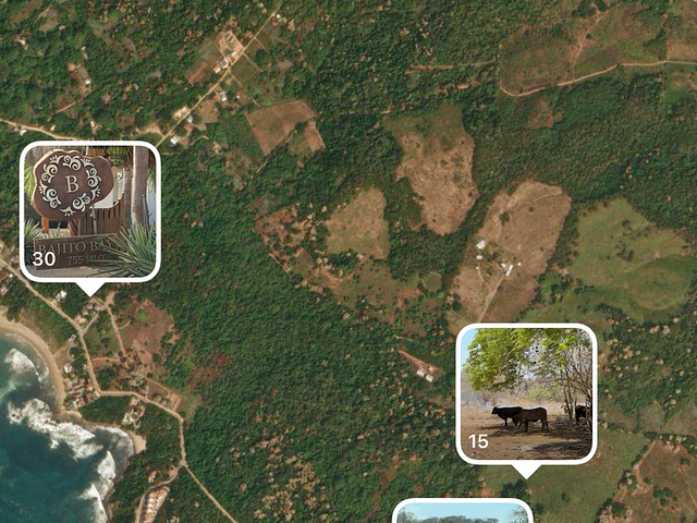 place photo 12