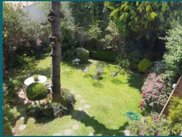 place photo 20