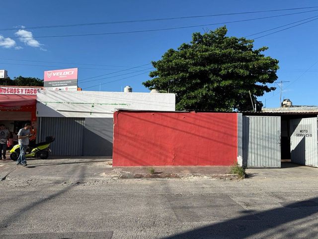 place photo 12