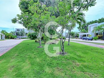 place photo 31