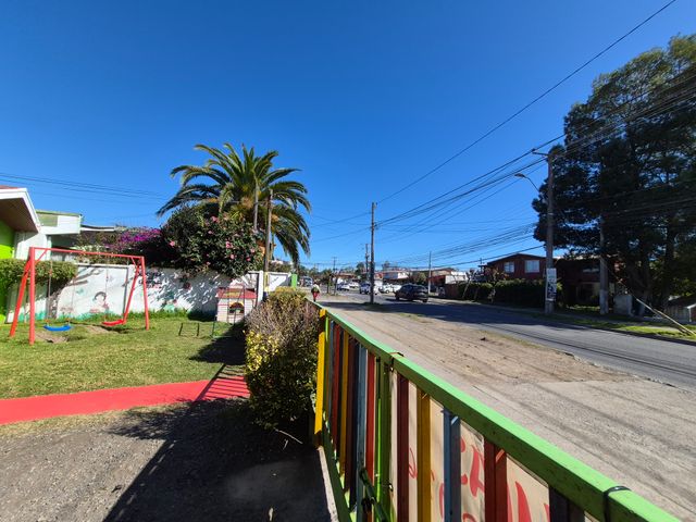 place photo 11