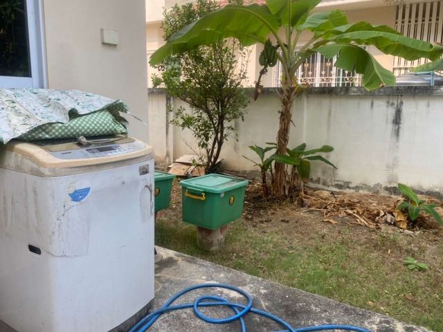 place photo 22