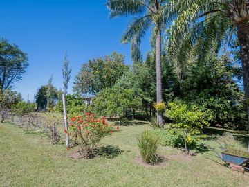 place photo 24