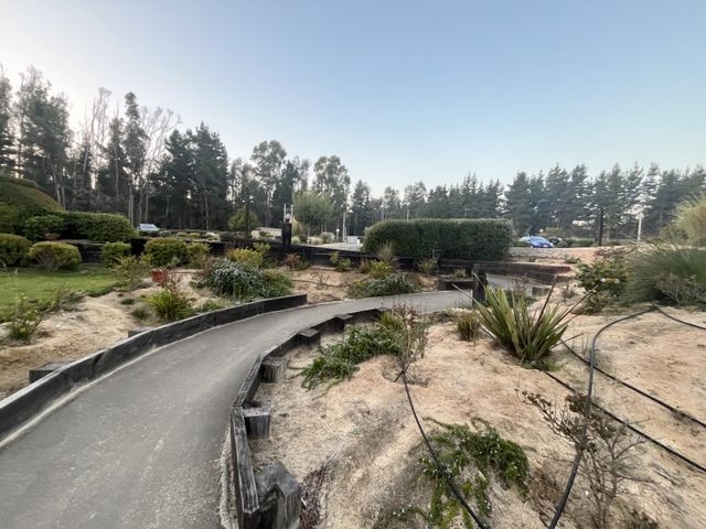 place photo 19
