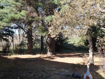 place photo 46