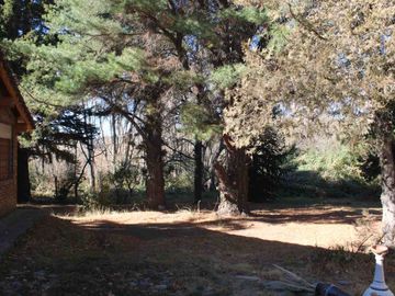 place photo 47