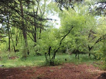 place photo 37