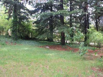 place photo 33