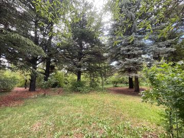place photo 44