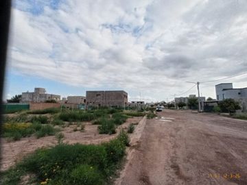 place photo 46