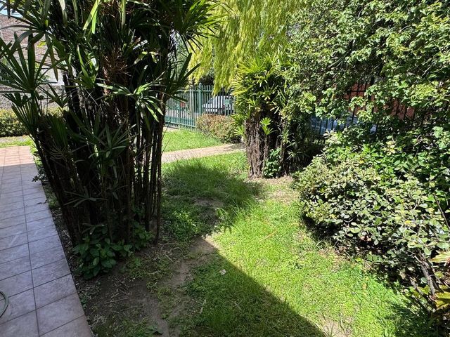 place photo 63