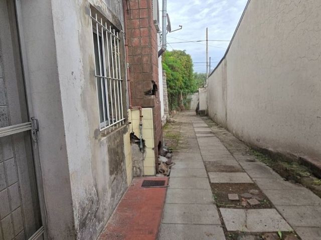 place photo 43