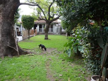 place photo 44