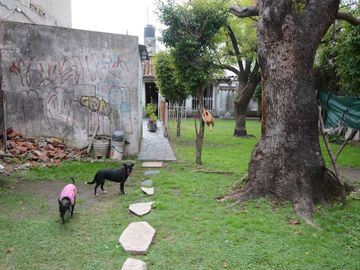 place photo 42