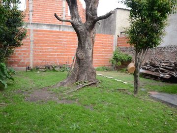 place photo 41