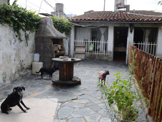 place photo 37
