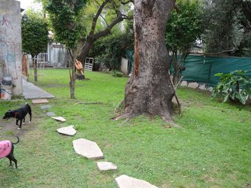 place photo 43