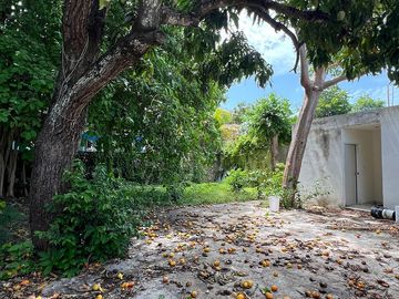 place photo 22