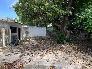 place photo 24