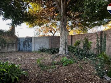 place photo 37