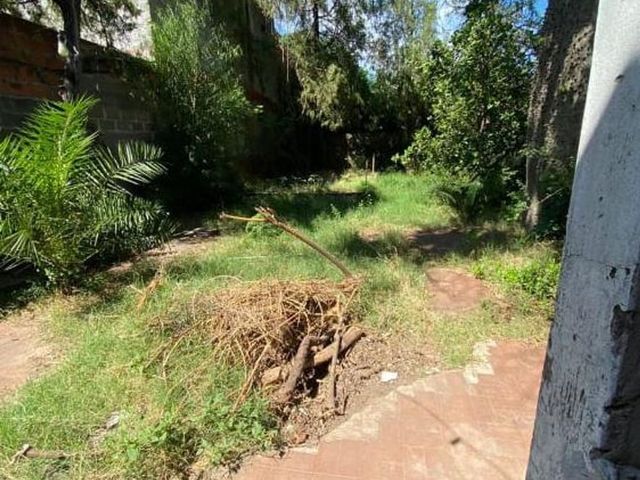place photo 25