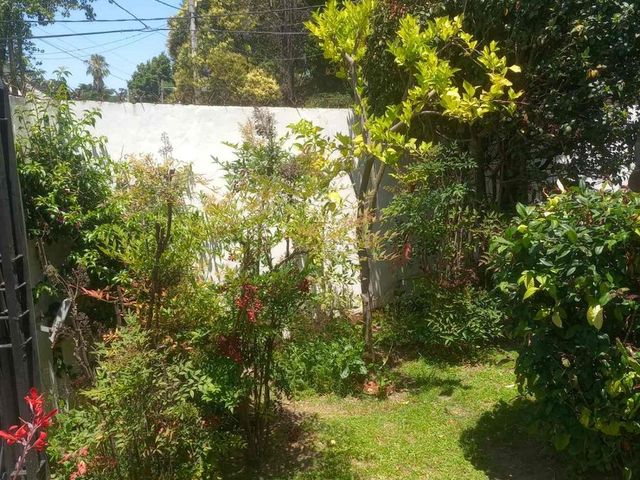place photo 49