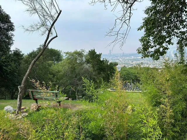 place photo 16