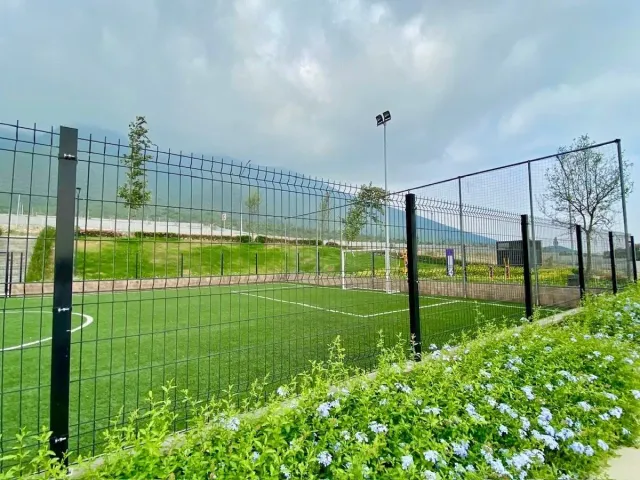 place photo 5