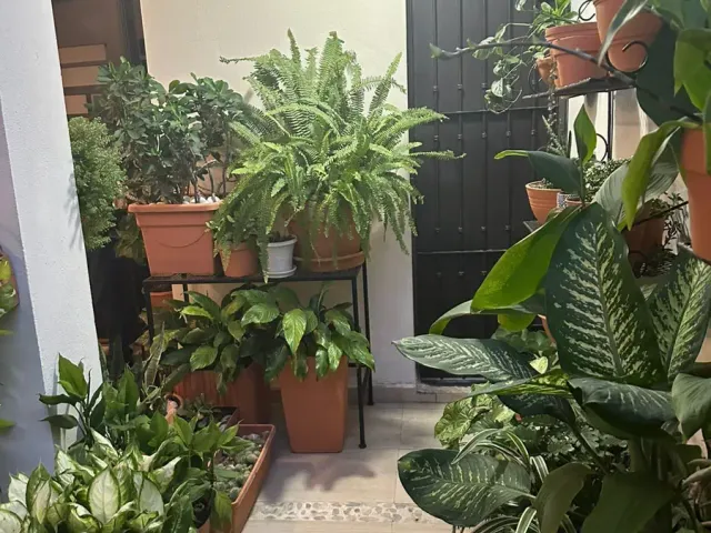 place photo 27
