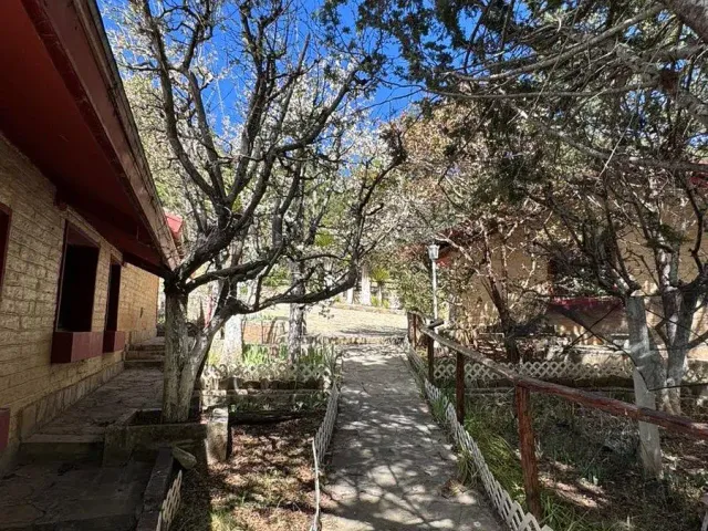 place photo 9